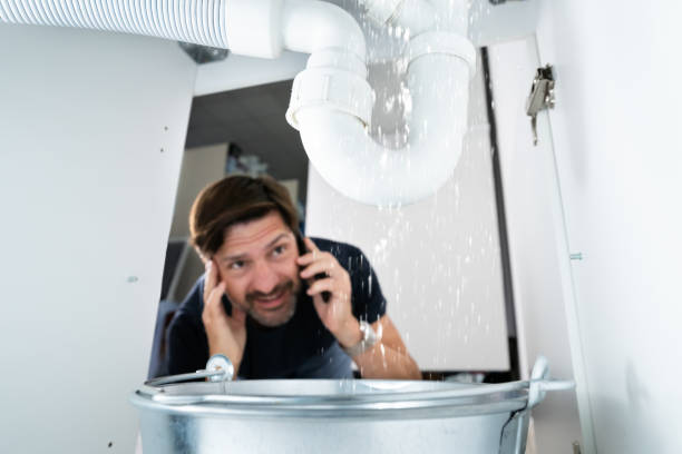 Best Water Heater Repair  in Flagtown, NJ