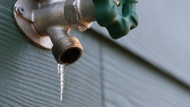 Best Plumbing Services Near Me  in Flagtown, NJ